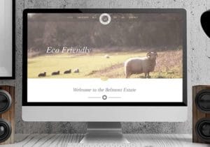 Belmont Estate branding example newsletter