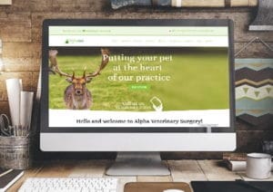 alpha-example-roundup