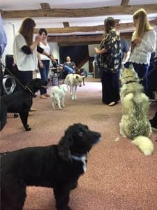 bring-dog-to-work-day