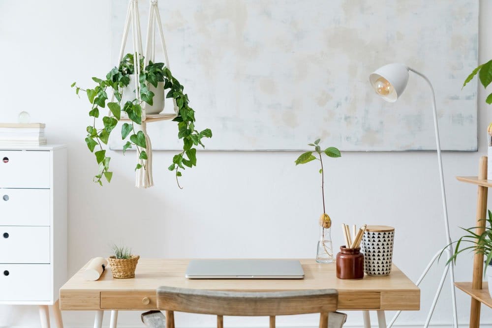 Light workspace with plants for working from home