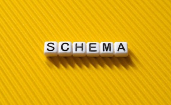 Stylised image of the word SCHEMA