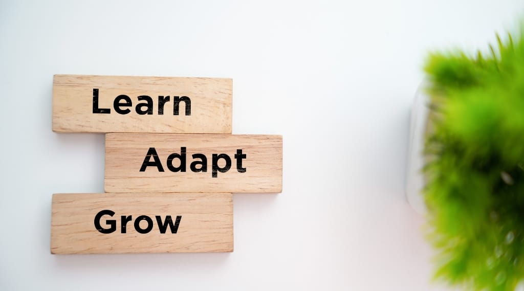 Marketing analytics and ROI: Wooden blocks stacked with the words learn, adapt and grow, representing business growth through marketing analytics and ROI.