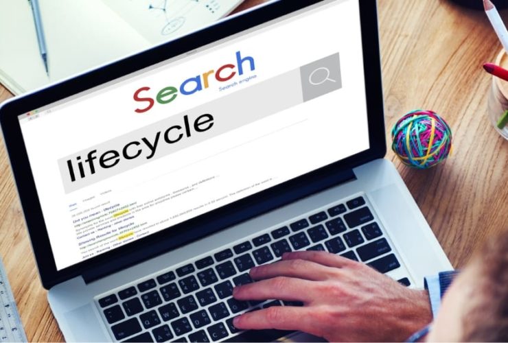 Website lifecycle "Overhead view of a person typing on a laptop displaying a mock search engine results page with the word 'lifecycle' in the search bar, surrounded by stationery and a rubber band ball"