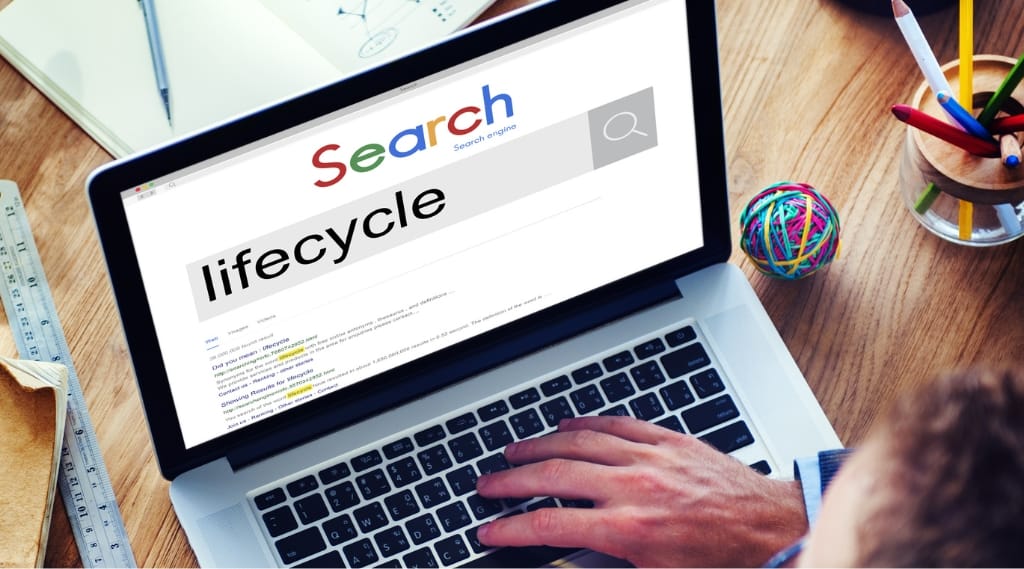 Website lifecycle "Overhead view of a person typing on a laptop displaying a mock search engine results page with the word 'lifecycle' in the search bar, surrounded by stationery and a rubber band ball"